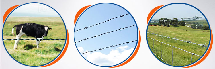 1667979845176596.jpg H3f0b19d0a0314dfbbecfa91995eb19cee.jpg