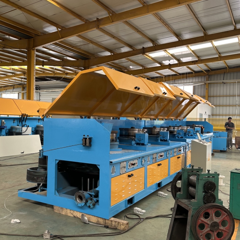 Top Sale with Good Quality Annealing Straight Line Steel Wire Drawing Machine